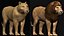 Low polygon lion and lioness collection