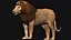 Low polygon lion and lioness collection