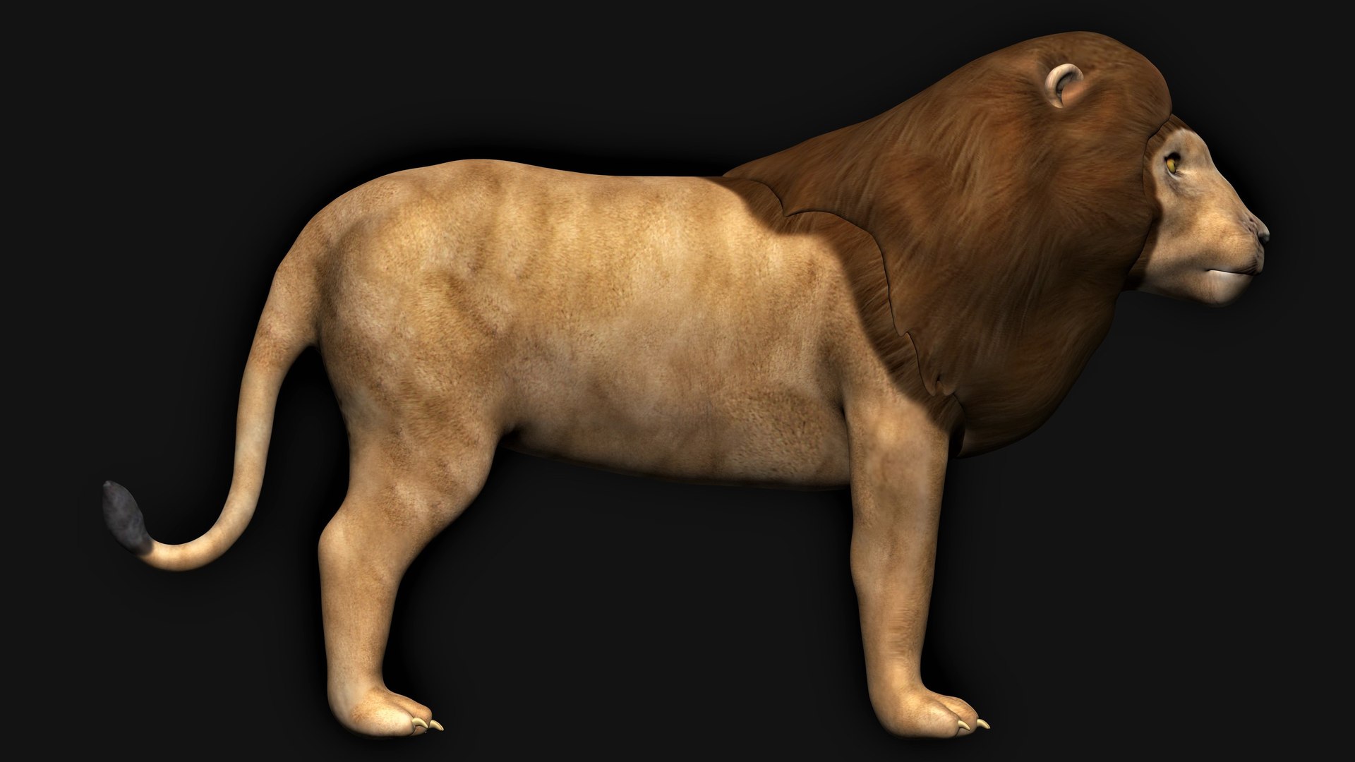 lion lioness 3D https://p.turbosquid.com/ts-thumb/qK/Ek8JpR/i7/8/jpg/1613858371/1920x1080/fit_q87/16594cfd28e20230489b58134412554930c660af/8.jpg