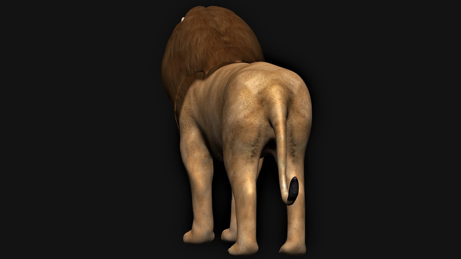 lion lioness 3D https://p.turbosquid.com/ts-thumb/qK/Ek8JpR/xI/4/jpg/1613858349/1920x1080/fit_q87/62210e2b0a43ccaef57dc244f482268292145c3c/4.jpg