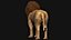 Low polygon lion and lioness collection