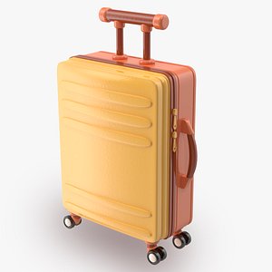 3D Cartoon Bagage