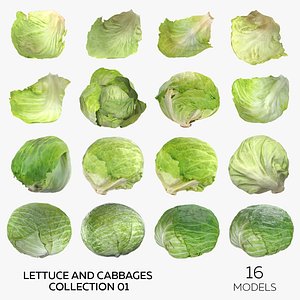 3D Lettuce and Cabbages Collection 01 - 16 models model