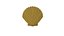 Scallop shell
