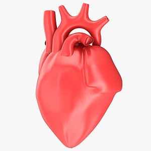 Human Heart