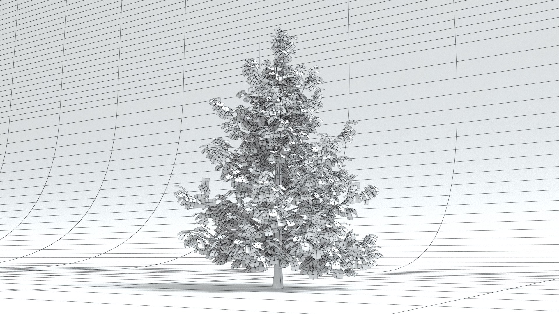 laos Norway Maple 3D https://p.turbosquid.com/ts-thumb/qK/SuR1Uh/L7/preview06wireframe03/jpg/1761473127/1920x1080/fit_q87/c532d7d48c4ee884d83dca61553684c52f75f4d5/preview06wireframe03.jpg