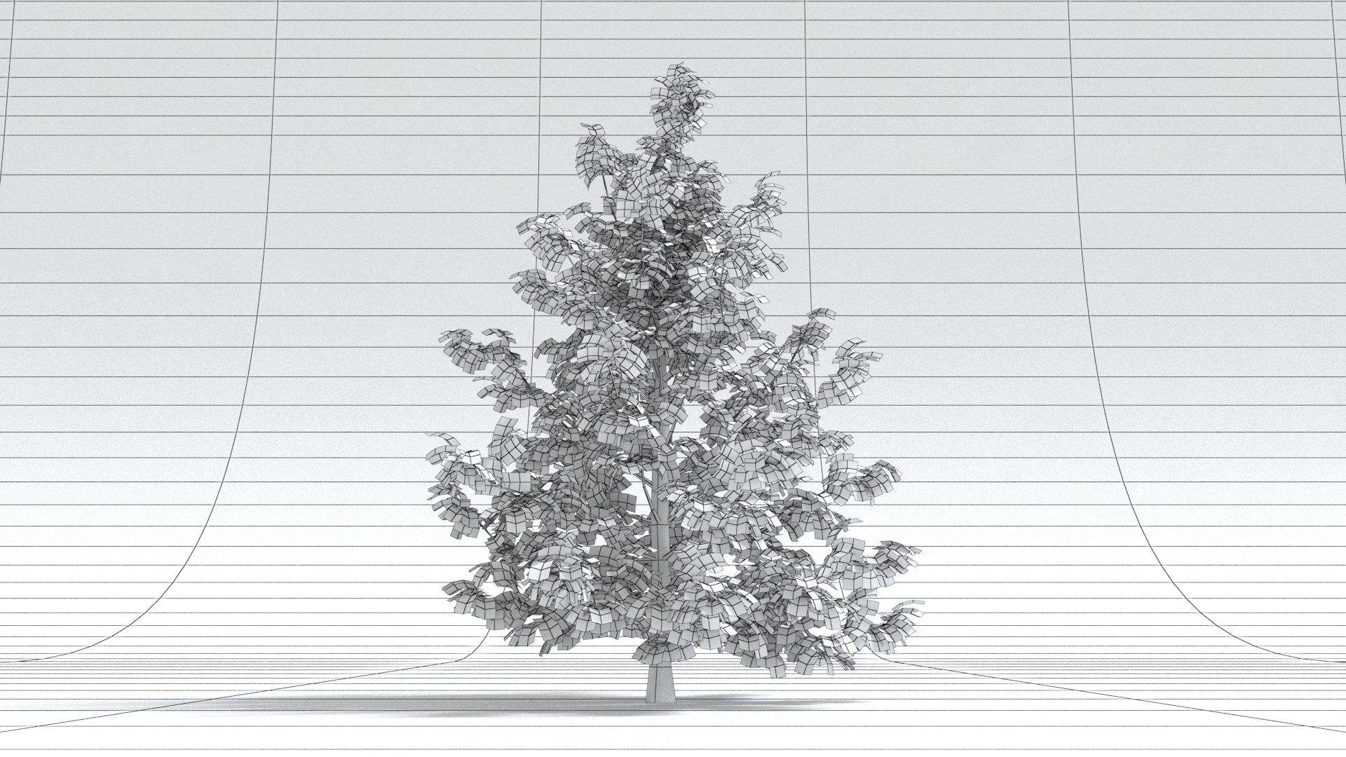 laos Norway Maple 3D https://p.turbosquid.com/ts-thumb/qK/SuR1Uh/Vg/preview06wireframe01/jpg/1761473123/1920x1080/fit_q87/736b34a97c92b28734d59ee0cfbaf347b6af128d/preview06wireframe01.jpg
