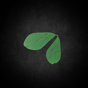 Low Poly Leaf 023 3D model