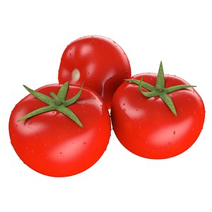 3D tomato food fruit