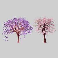 Jacaranda and cherry blossom trees