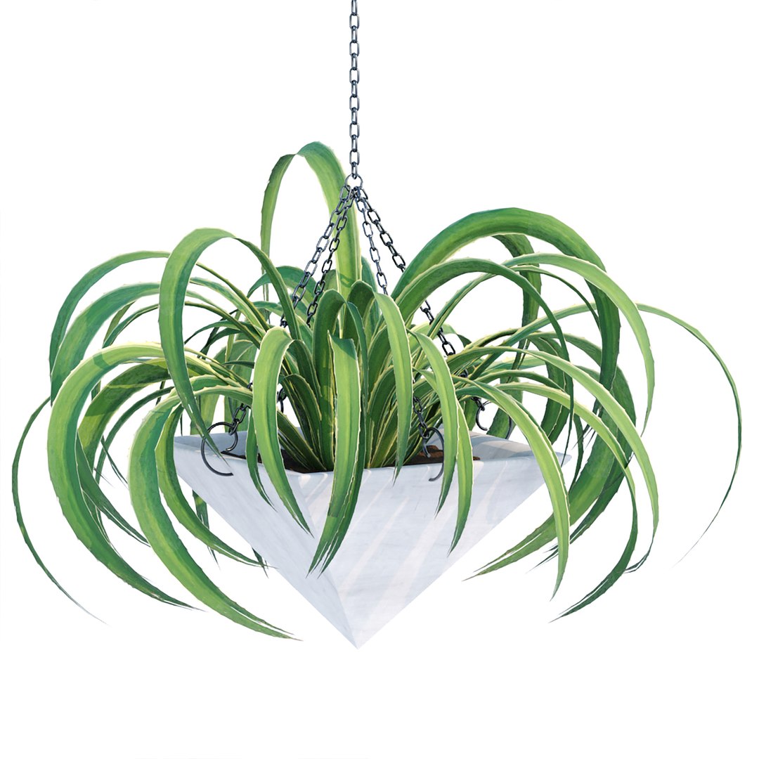 Hanging plants indoor collection-29 3D model https://p.turbosquid.com/ts-thumb/qL/9AHYOw/2q/v/jpg/1693862432/1920x1080/fit_q87/b06d8ea9559e146cebe3f39fa9f03e1d4b1f08fa/v.jpg