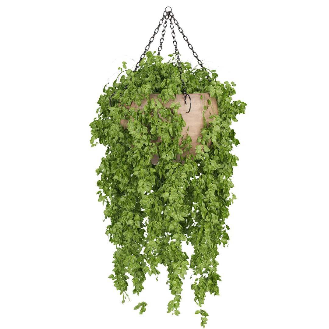 Hanging plants indoor collection-29 3D model https://p.turbosquid.com/ts-thumb/qL/9AHYOw/38/zz/jpg/1693862434/1920x1080/fit_q87/3de7122afd56086eb8ae04626310d166fefe7fe1/zz.jpg
