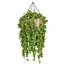 Collection d'intérieur de plantes suspendues-29