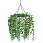 Collection d'intérieur de plantes suspendues-29