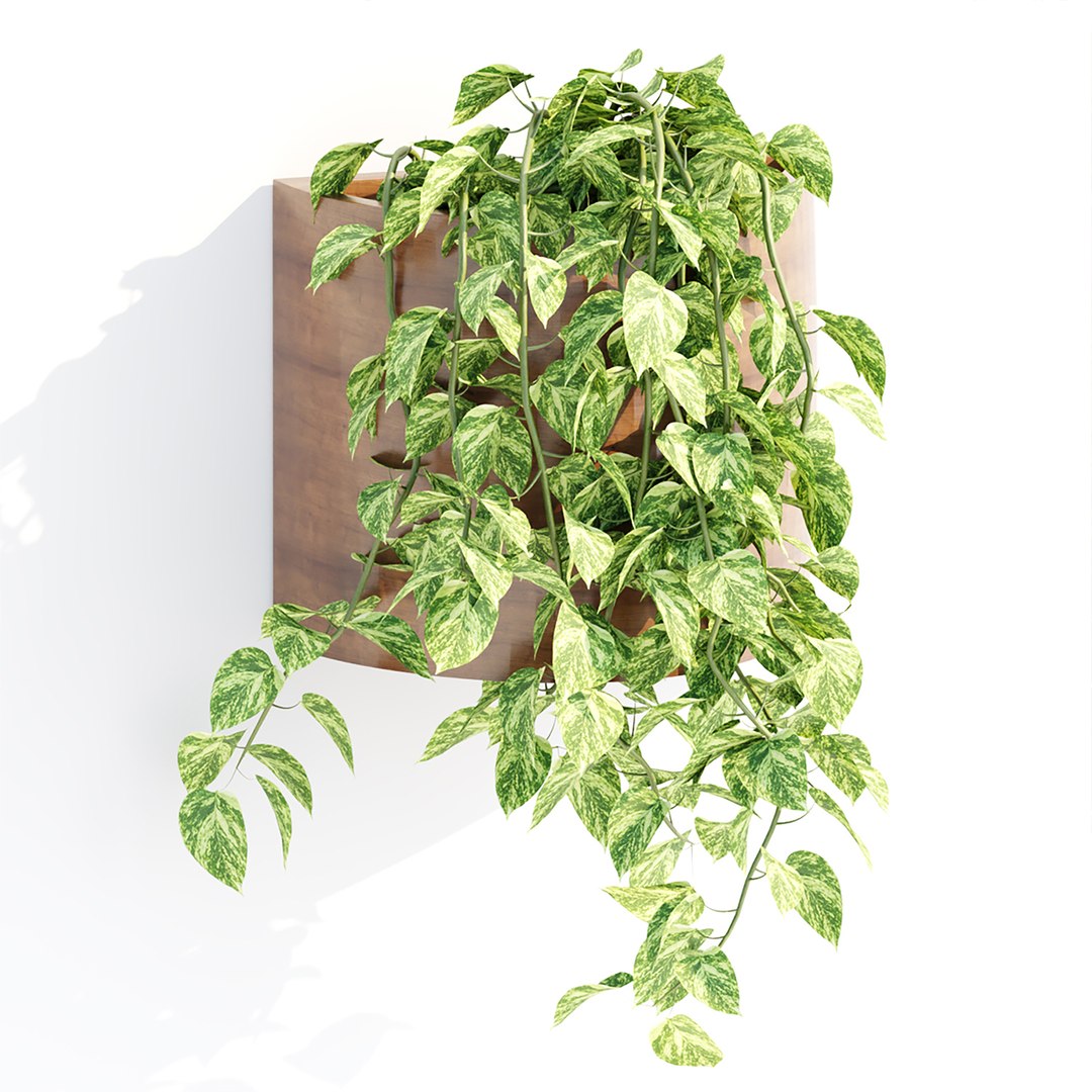 Hanging plants indoor collection-29 3D model https://p.turbosquid.com/ts-thumb/qL/9AHYOw/H2/j/jpg/1693862427/1920x1080/fit_q87/2fa0eaadf38cecf933eeb79532de3913cc5c36b5/j.jpg