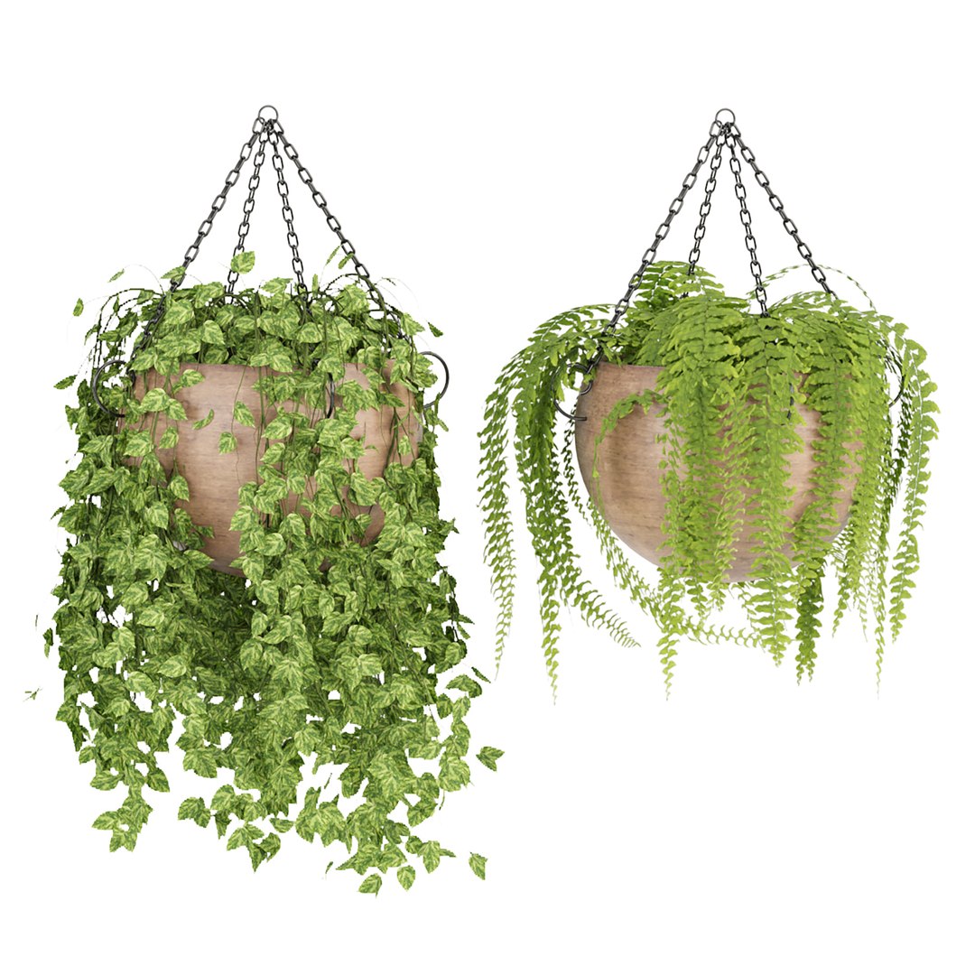 Hanging plants indoor collection-29 3D model https://p.turbosquid.com/ts-thumb/qL/9AHYOw/Hp/zzz/jpg/1693862435/1920x1080/fit_q87/31aed88421322f4872cb479e8659f50ef86669b5/zzz.jpg
