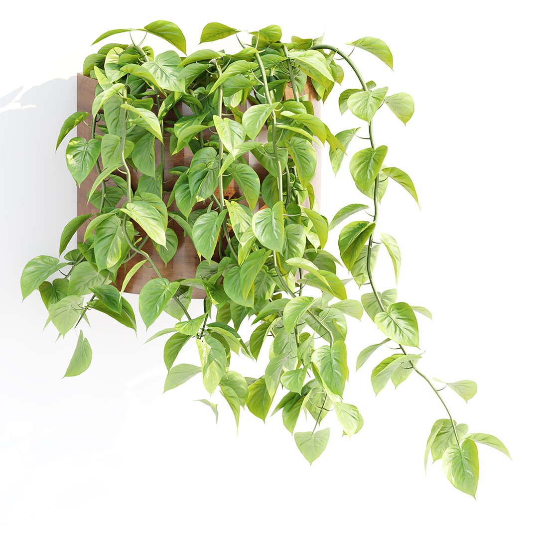 Hanging plants indoor collection-29 3D model https://p.turbosquid.com/ts-thumb/qL/9AHYOw/Iv/g/jpg/1693862425/1920x1080/fit_q87/4e77b90ce3c390d0eb12dd6f6ad0cdd1ff2c7dc7/g.jpg