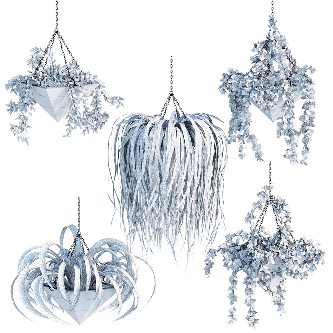 Hanging plants indoor collection-29 3D model https://p.turbosquid.com/ts-thumb/qL/9AHYOw/N0/7/jpg/1662711092/1920x1080/fit_q87/2f2c226d99eaa93859527b189738d3fe8c04af7a/7.jpg