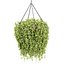 Collection d'intérieur de plantes suspendues-29