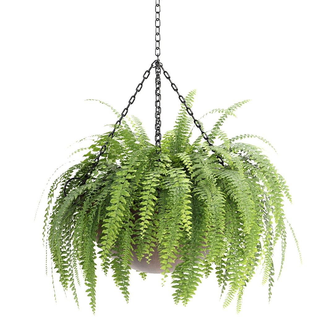 Hanging plants indoor collection-29 3D model https://p.turbosquid.com/ts-thumb/qL/9AHYOw/SX/e/jpg/1693862424/1920x1080/fit_q87/12b2795d09b18429979f2579e0cba46098ed5f24/e.jpg