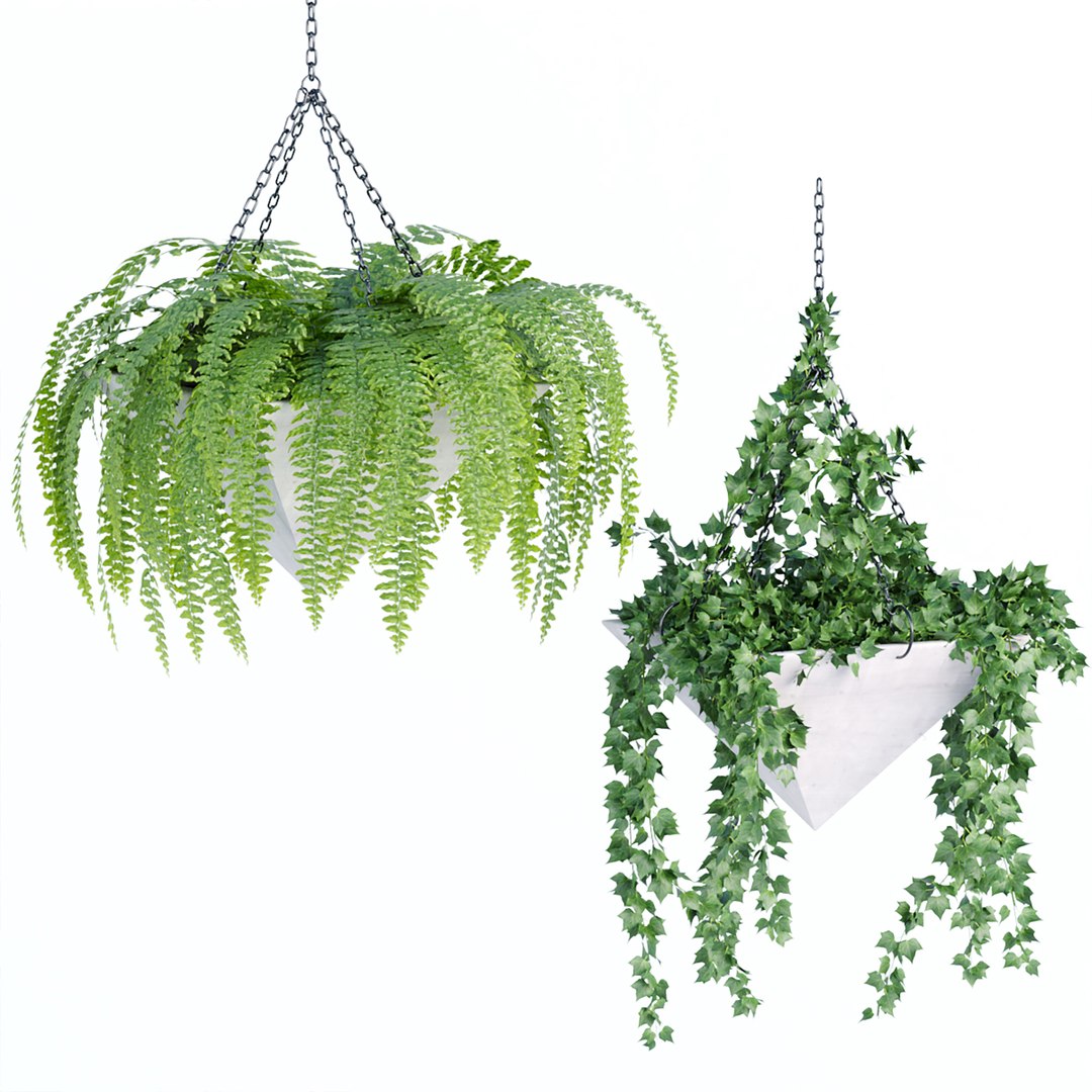Hanging plants indoor collection-29 3D model https://p.turbosquid.com/ts-thumb/qL/9AHYOw/W7/t/jpg/1693862431/1920x1080/fit_q87/7db9ddba2f69330bd3e44797c16cb6d37f1c0403/t.jpg