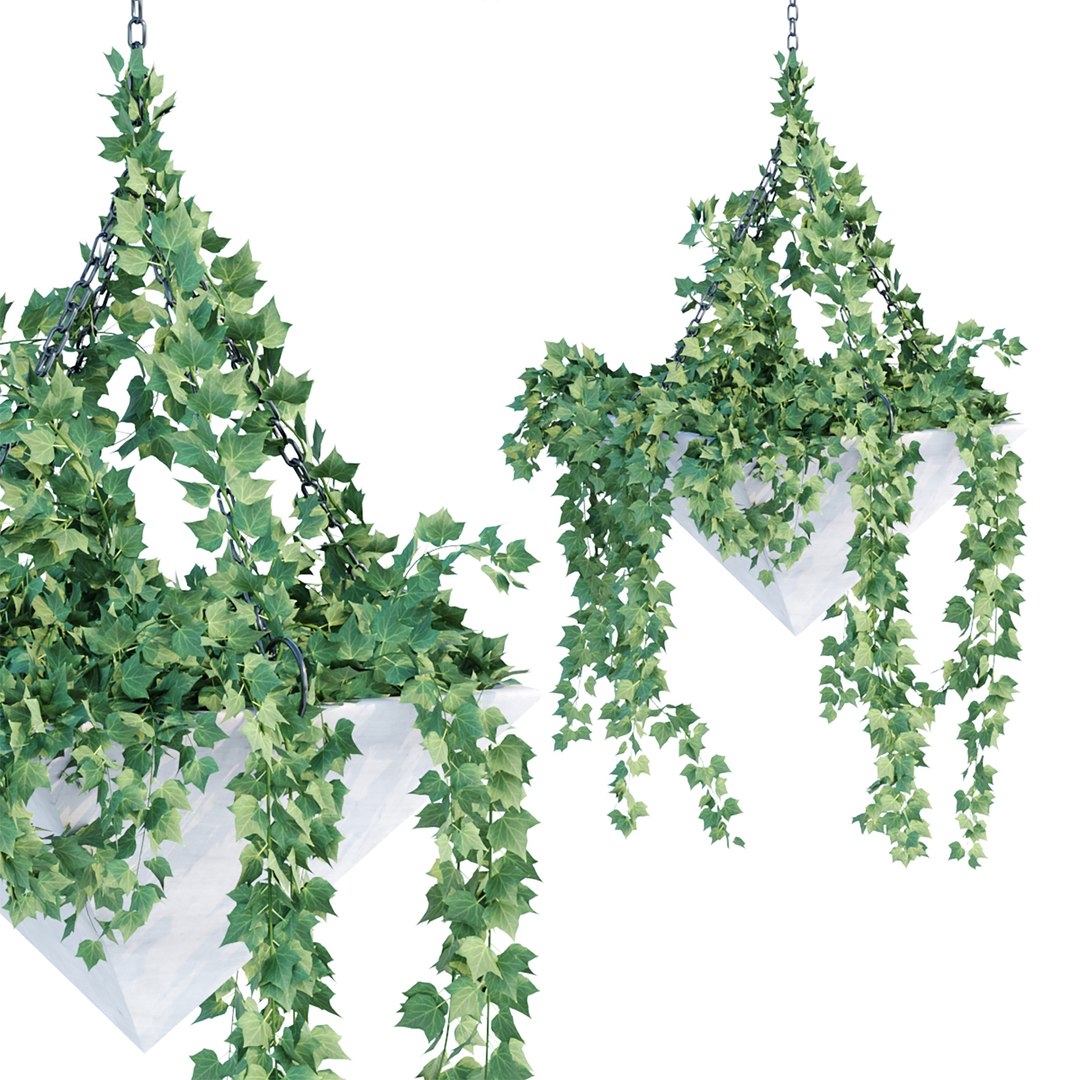 Hanging plants indoor collection-29 3D model https://p.turbosquid.com/ts-thumb/qL/9AHYOw/a1/w/jpg/1693862432/1920x1080/fit_q87/a009070ba230286018bc38d42688410eca528433/w.jpg