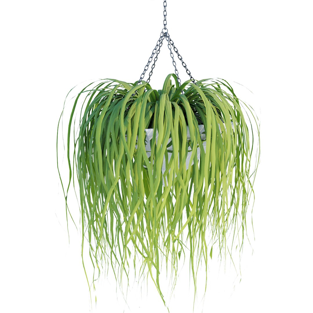 Hanging plants indoor collection-29 3D model https://p.turbosquid.com/ts-thumb/qL/9AHYOw/b9/y/jpg/1693862433/1920x1080/fit_q87/b45d34badb544be254ad8c4758bc267e58517374/y.jpg