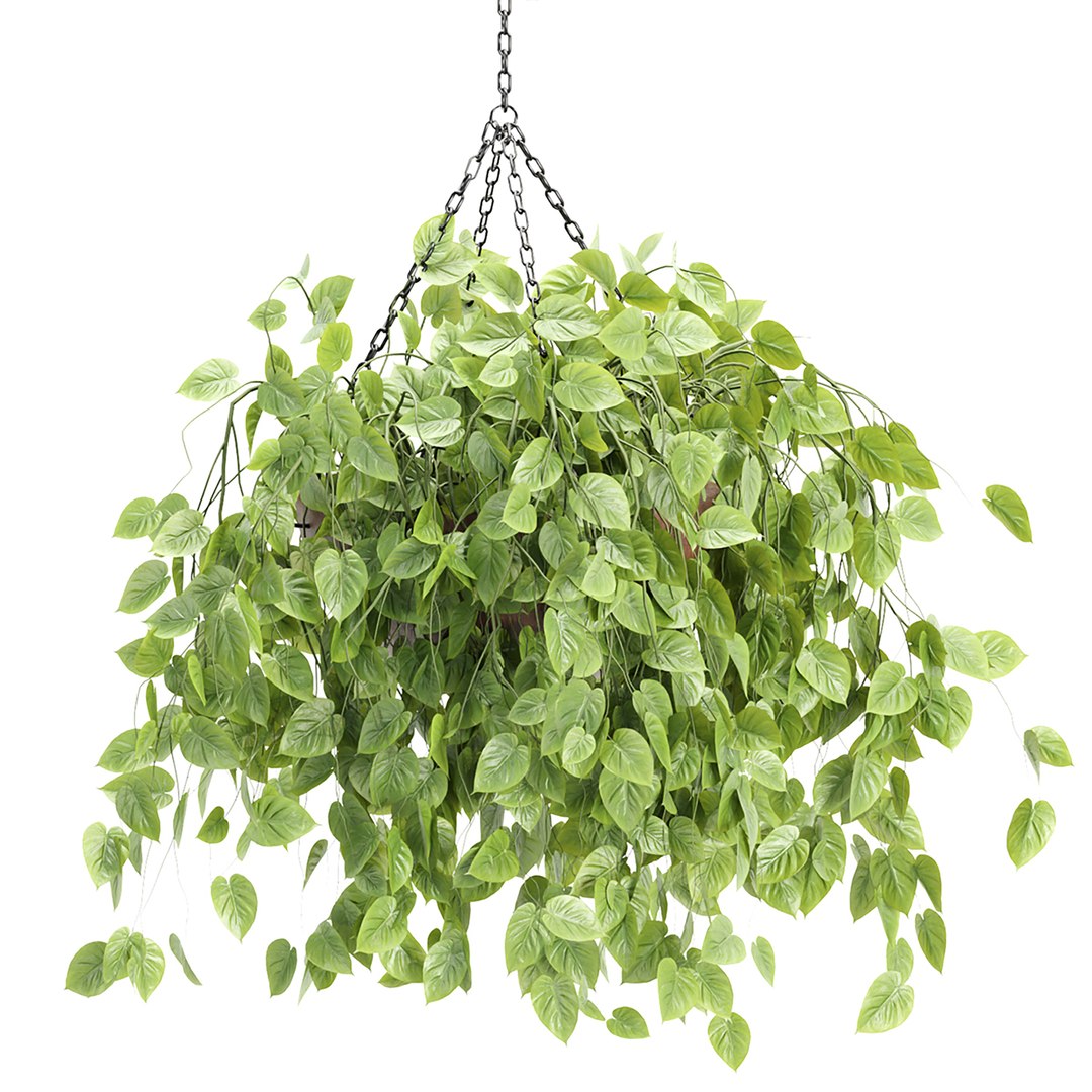 Hanging plants indoor collection-29 3D model https://p.turbosquid.com/ts-thumb/qL/9AHYOw/bd/c/jpg/1693862425/1920x1080/fit_q87/6f2c51344ced10493e62f5cdb5da8c69fac34a3e/c.jpg