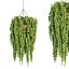 Collection d'intérieur de plantes suspendues-29