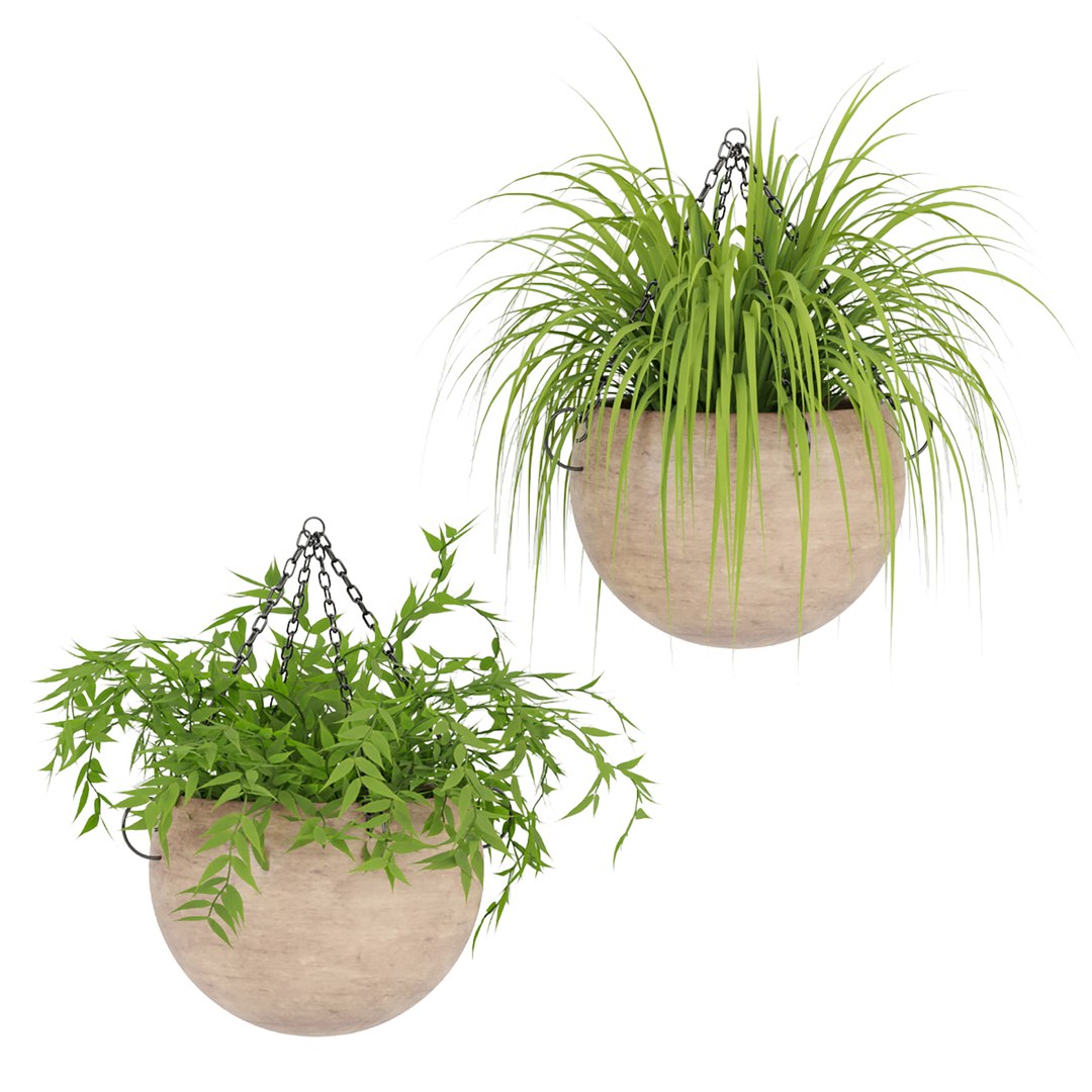 Hanging plants indoor collection-29 3D model https://p.turbosquid.com/ts-thumb/qL/9AHYOw/g6/zzzz/jpg/1693862435/1920x1080/fit_q87/35ec52248f18a1f9f92febcbf16529dc37dcc386/zzzz.jpg
