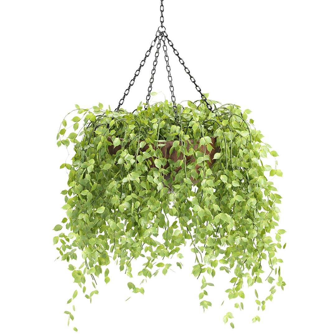 Hanging plants indoor collection-29 3D model https://p.turbosquid.com/ts-thumb/qL/9AHYOw/hQ/f/jpg/1693862425/1920x1080/fit_q87/16a7bb62ba04759db5d151c86effe3f64b18d922/f.jpg