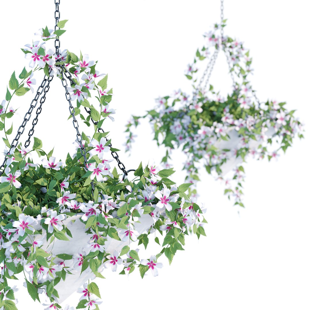 Hanging plants indoor collection-29 3D model https://p.turbosquid.com/ts-thumb/qL/9AHYOw/jg/u/jpg/1693862431/1920x1080/fit_q87/15419bf271ea23a1bb271bf08a236cdea33cb622/u.jpg