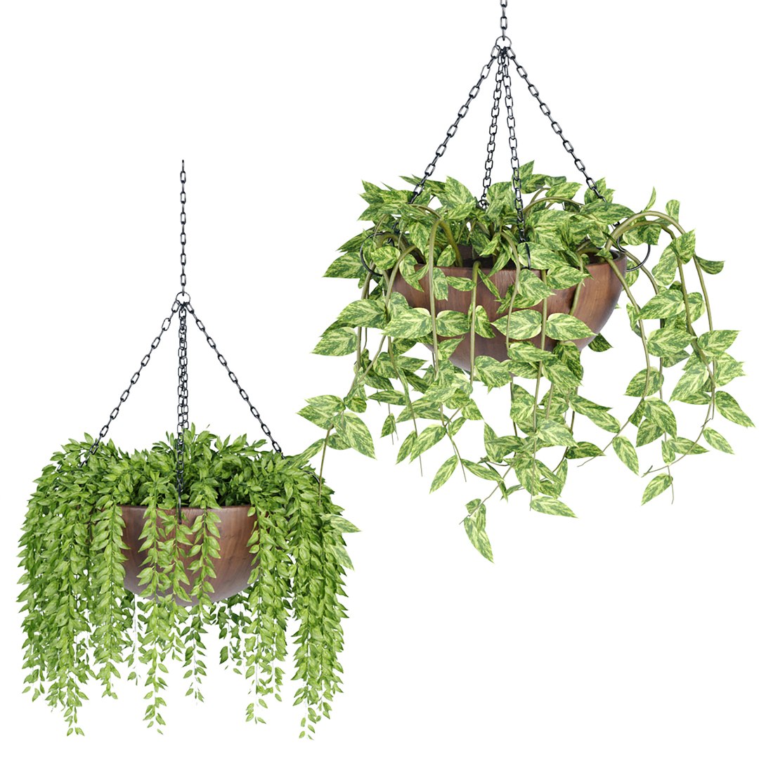 Hanging plants indoor collection-29 3D model https://p.turbosquid.com/ts-thumb/qL/9AHYOw/k3/n/jpg/1693862428/1920x1080/fit_q87/edfda3ab1a1b457bf5524a82f65ef351afe227e9/n.jpg