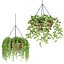 Collection d'intérieur de plantes suspendues-29
