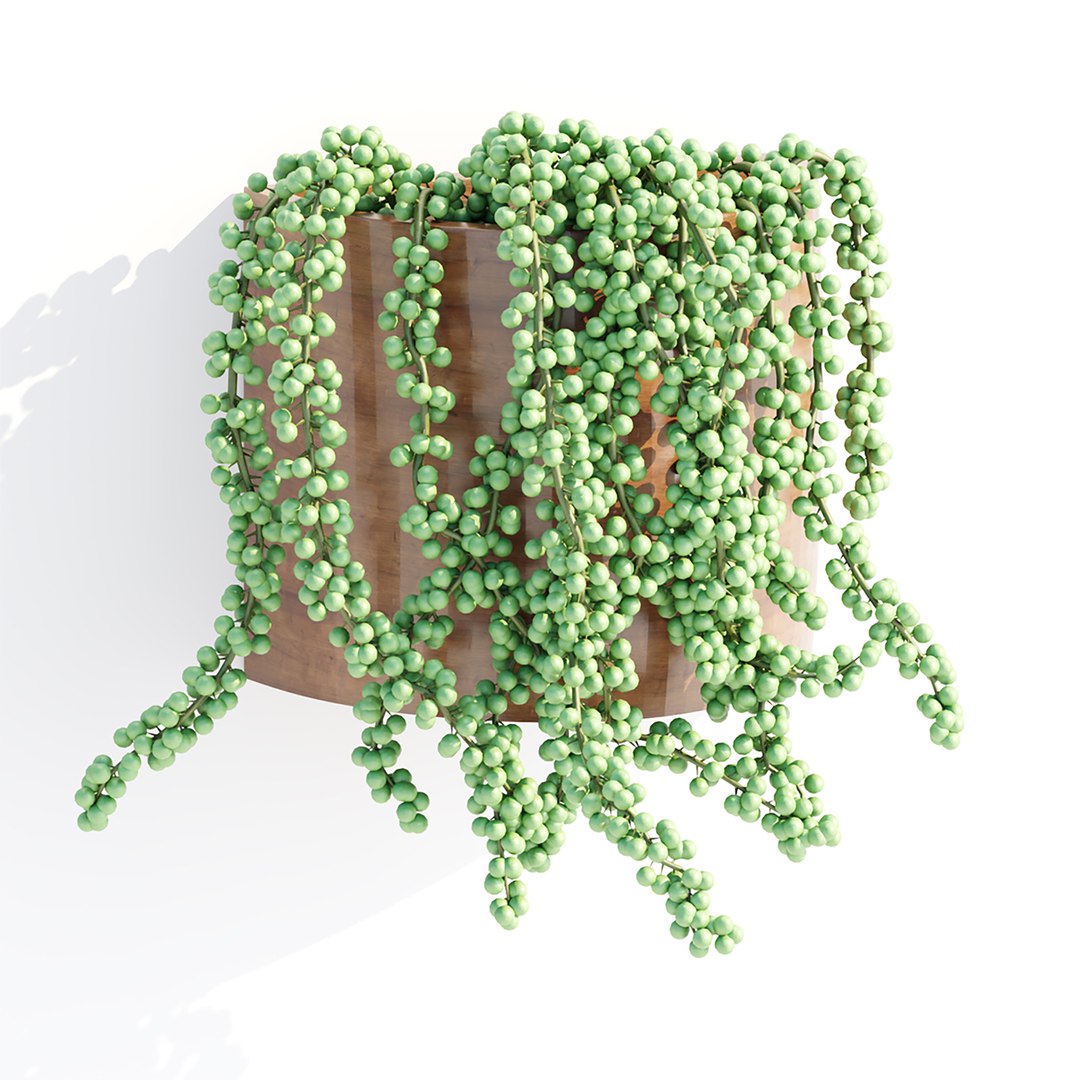 Hanging plants indoor collection-29 3D model https://p.turbosquid.com/ts-thumb/qL/9AHYOw/kS/i/jpg/1693862426/1920x1080/fit_q87/e1d3226a66927246f8645d8dfe414b6130939861/i.jpg