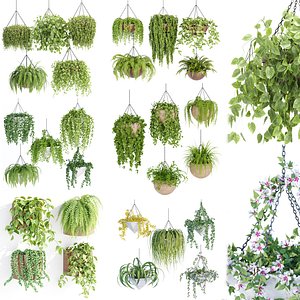 Hanging plants indoor collection-29 3D model