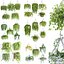 Collection d'intérieur de plantes suspendues-29