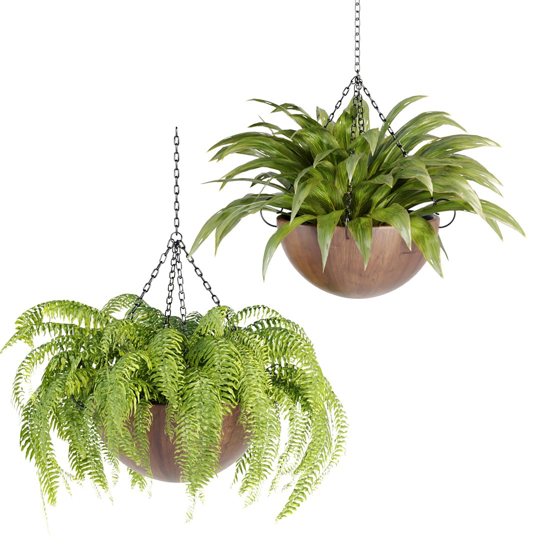 Hanging plants indoor collection-29 3D model https://p.turbosquid.com/ts-thumb/qL/9AHYOw/n9/o/jpg/1693862428/1920x1080/fit_q87/654bf4def91a4a13af96f010de4f8d771bbc0b0f/o.jpg