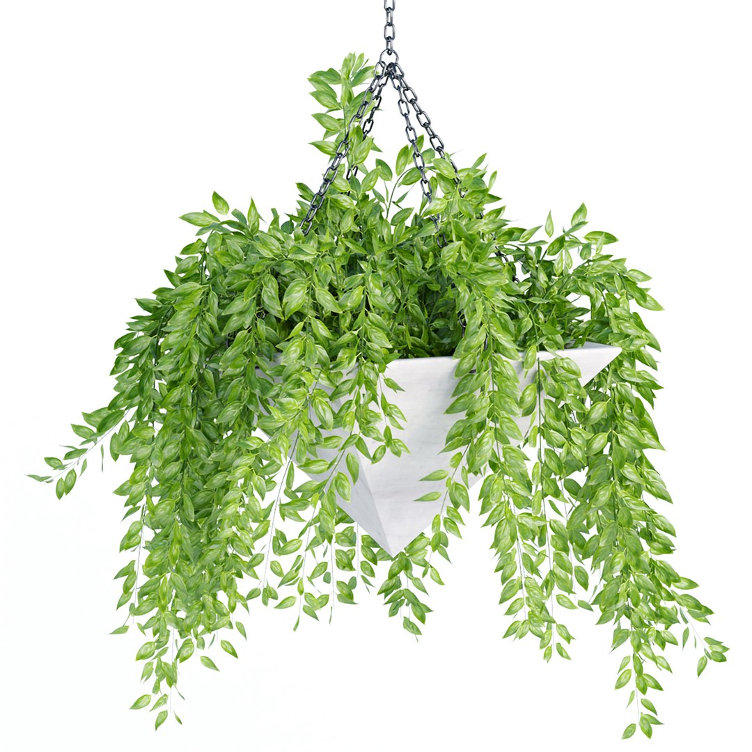 Hanging plants indoor collection-29 3D model https://p.turbosquid.com/ts-thumb/qL/9AHYOw/uL/r/jpg/1693862430/1920x1080/fit_q87/c4b54811b712f219e6d377b96c83683e0de09b6c/r.jpg