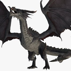 3D Dragon Rigged