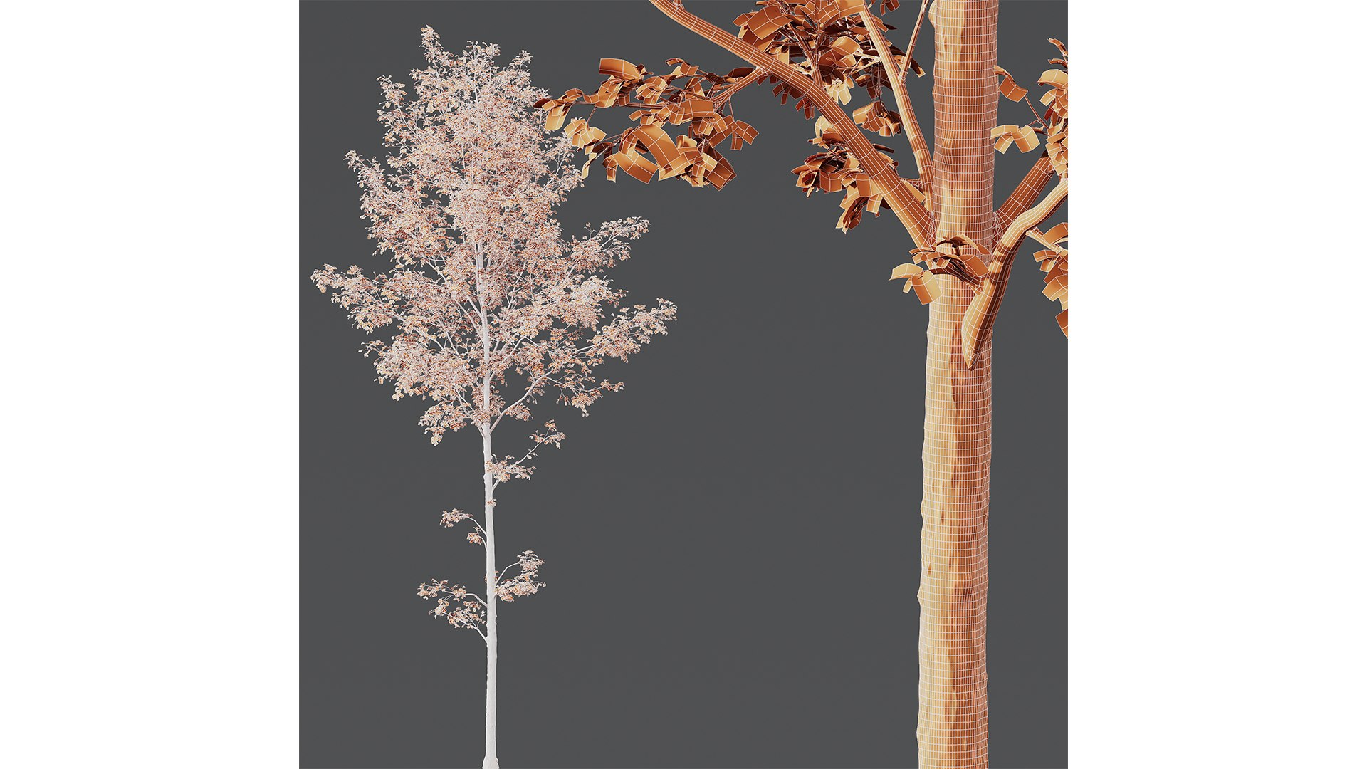 6 Different SETS of Tree SET VOL17 3D model - TurboSquid 2154216