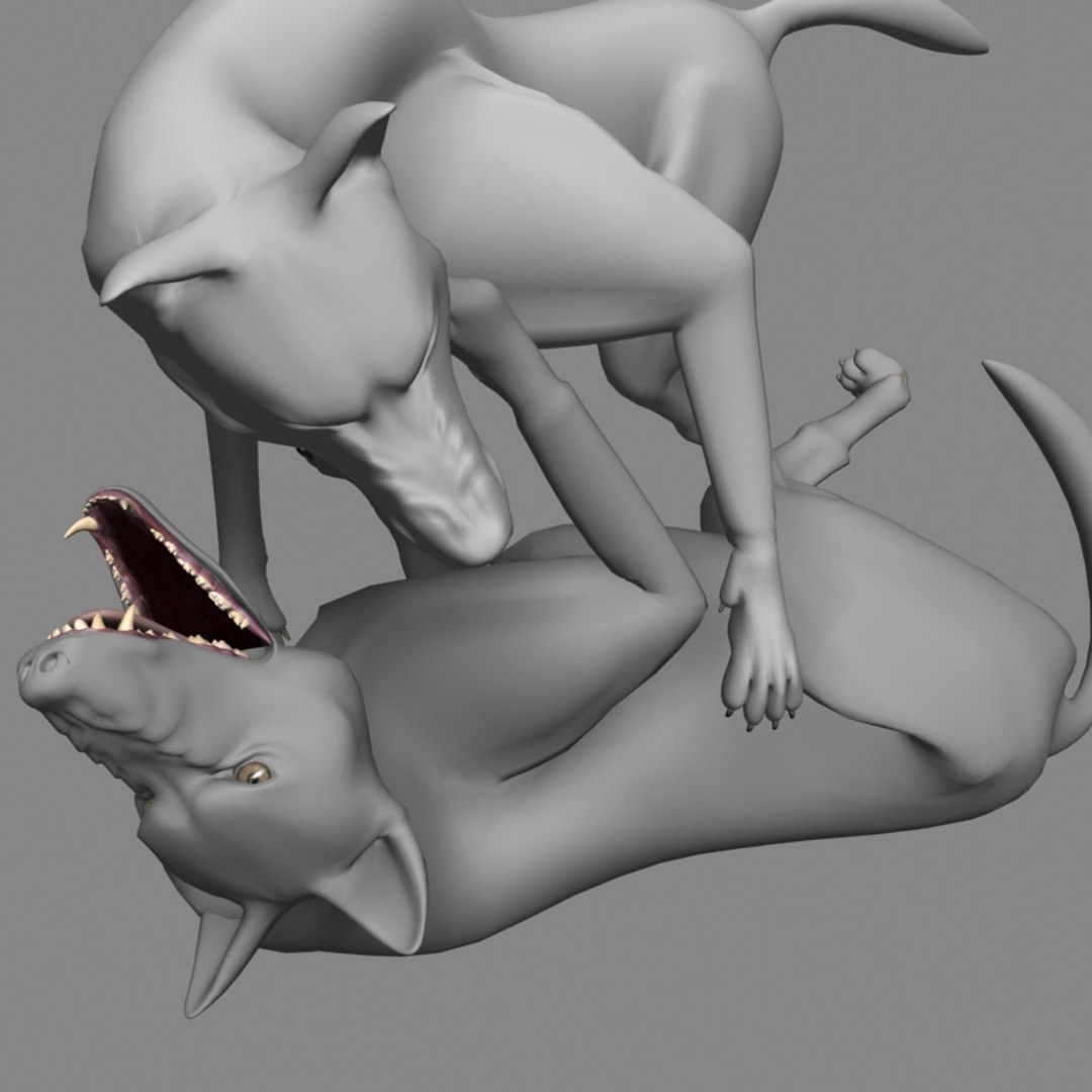 3d Cat Fight Animation Wolf Model