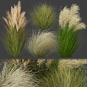 Collection plant vol 278 - grass - outdoor - fbx - obj - 3dmax - 3dmodel model