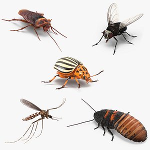 3D rigged insect pests