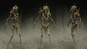 Drowned Bones of the Damned