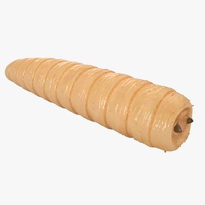 Maggot