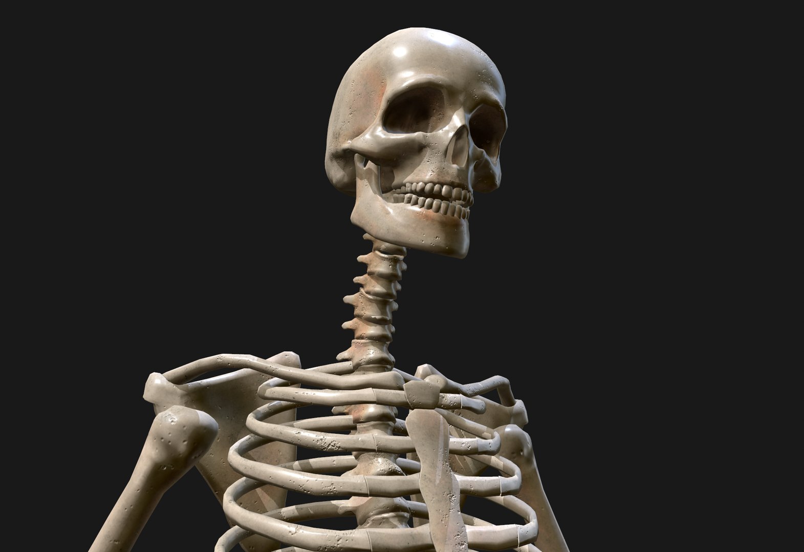 3D human skeleton https://p.turbosquid.com/ts-thumb/qL/urzUYl/P7YqtK7g/nimetn5/png/1601500517/1920x1080/fit_q87/3a3508801eb04aa4e6e782db84b3c9618336355c/nimetn5.jpg