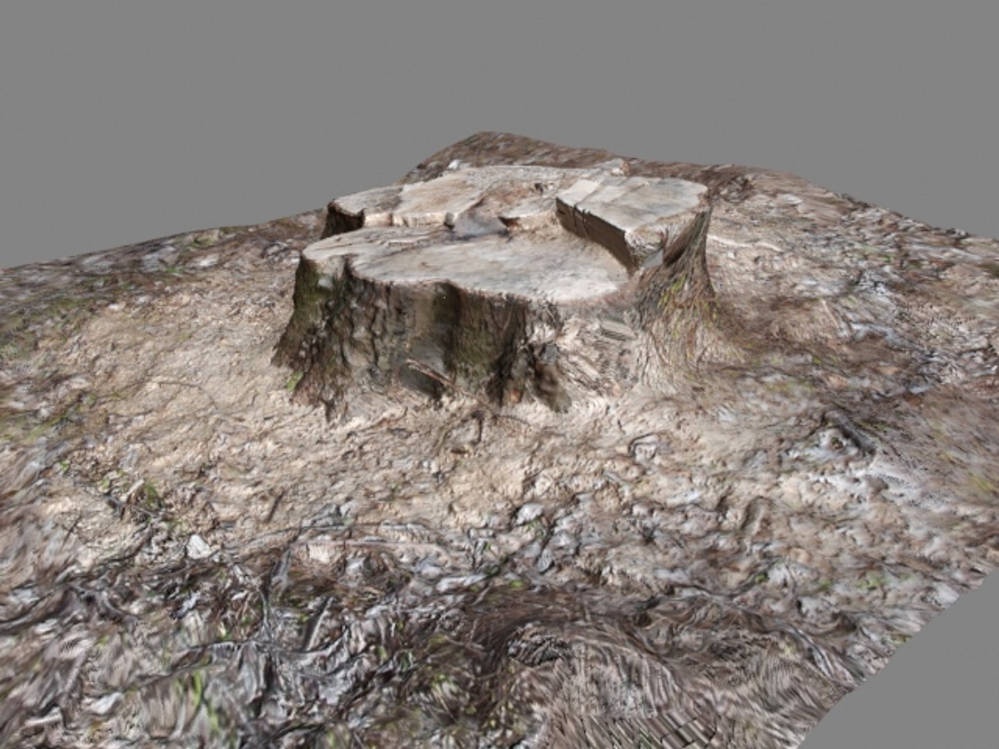 3d tree stump model https://p.turbosquid.com/ts-thumb/qL/z6upAv/TbS6PhzK/stumpf01/jpg/1342099513/1920x1080/fit_q87/f8746eff92b6bb3f965be2a23ec06fb7366eb659/stumpf01.jpg