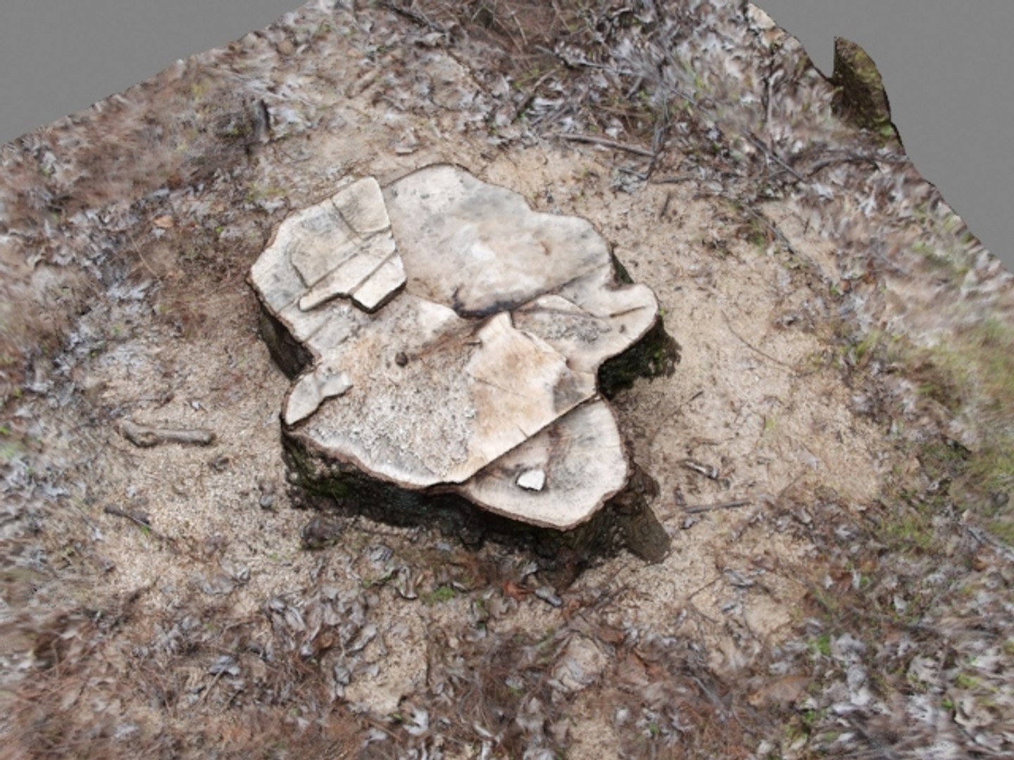 3d tree stump model https://p.turbosquid.com/ts-thumb/qL/z6upAv/iE560EUm/stumpf03/jpg/1342099514/1920x1080/fit_q87/60b0a140cacb97678bed1ba48fa6d3e0d4841e4a/stumpf03.jpg