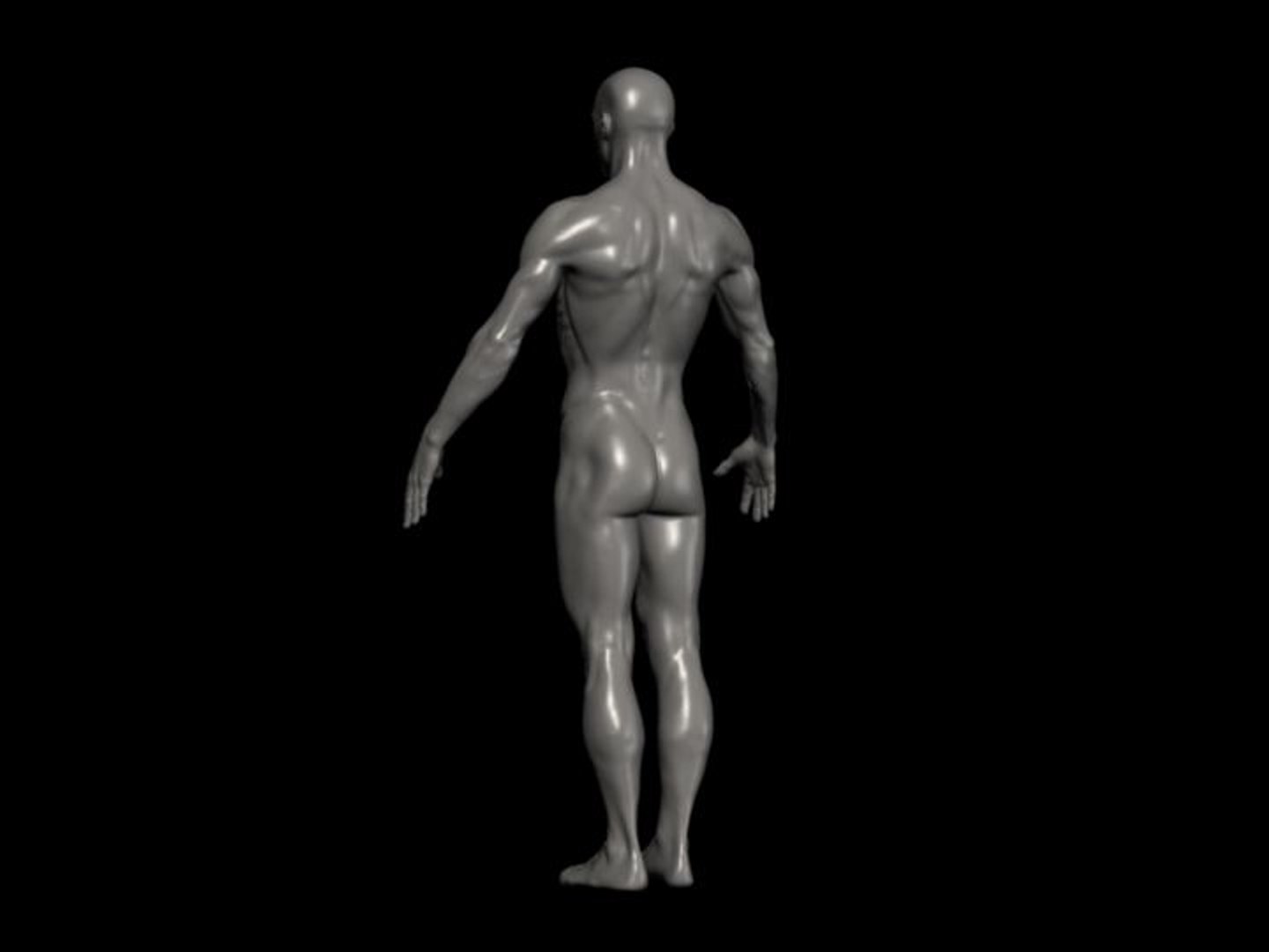 3d model human male formats https://p.turbosquid.com/ts-thumb/qM/9seYVd/3TcO6UVz/male_f/jpg/1210040543/1920x1080/fit_q87/1c72f3a80b628a98cda92b04cbeaea0eefd5ddfd/male_f.jpg